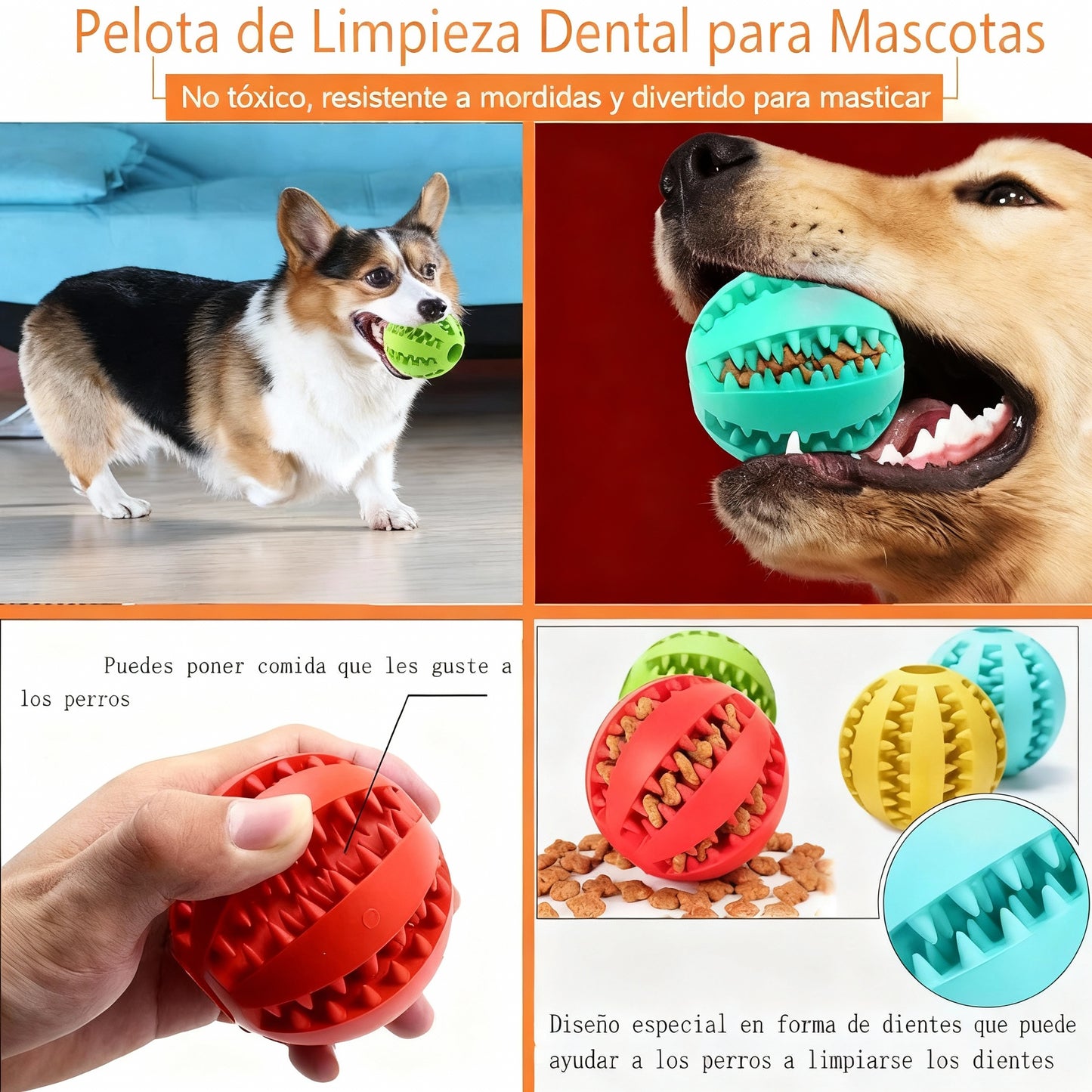 Pelota de juguete para perros