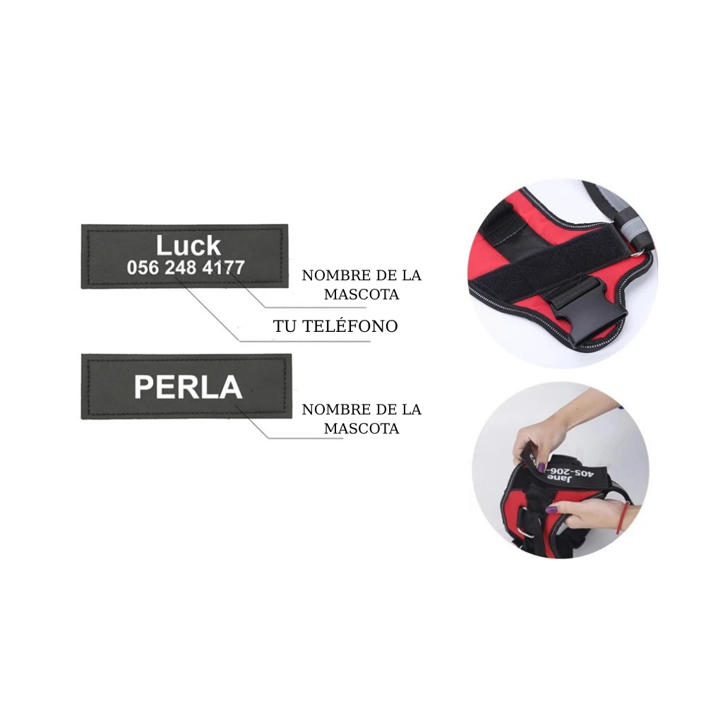 Arnés Personalizado y Ajustable para Perros