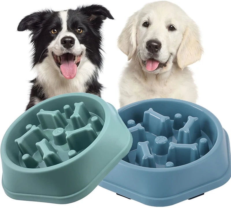 Comedero lento para perros