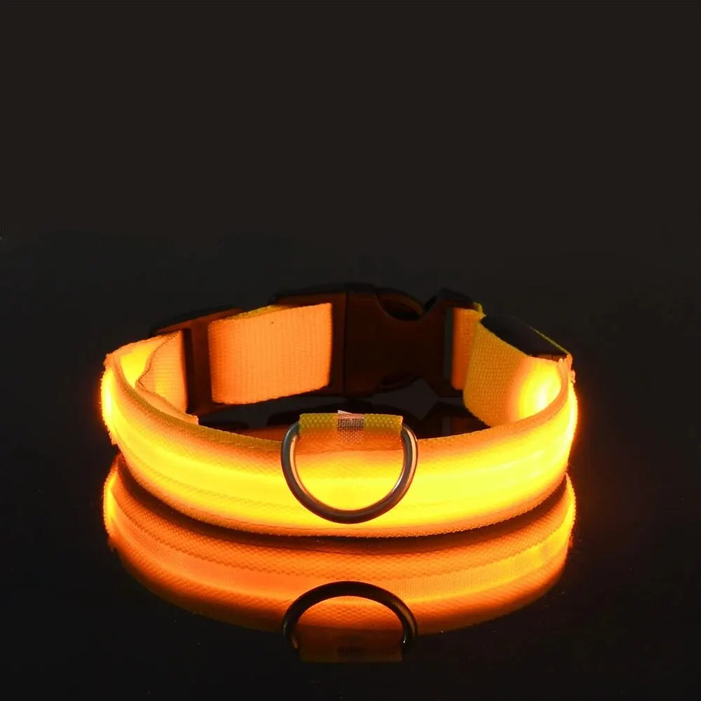 Correa de nailon para perros con luces LED