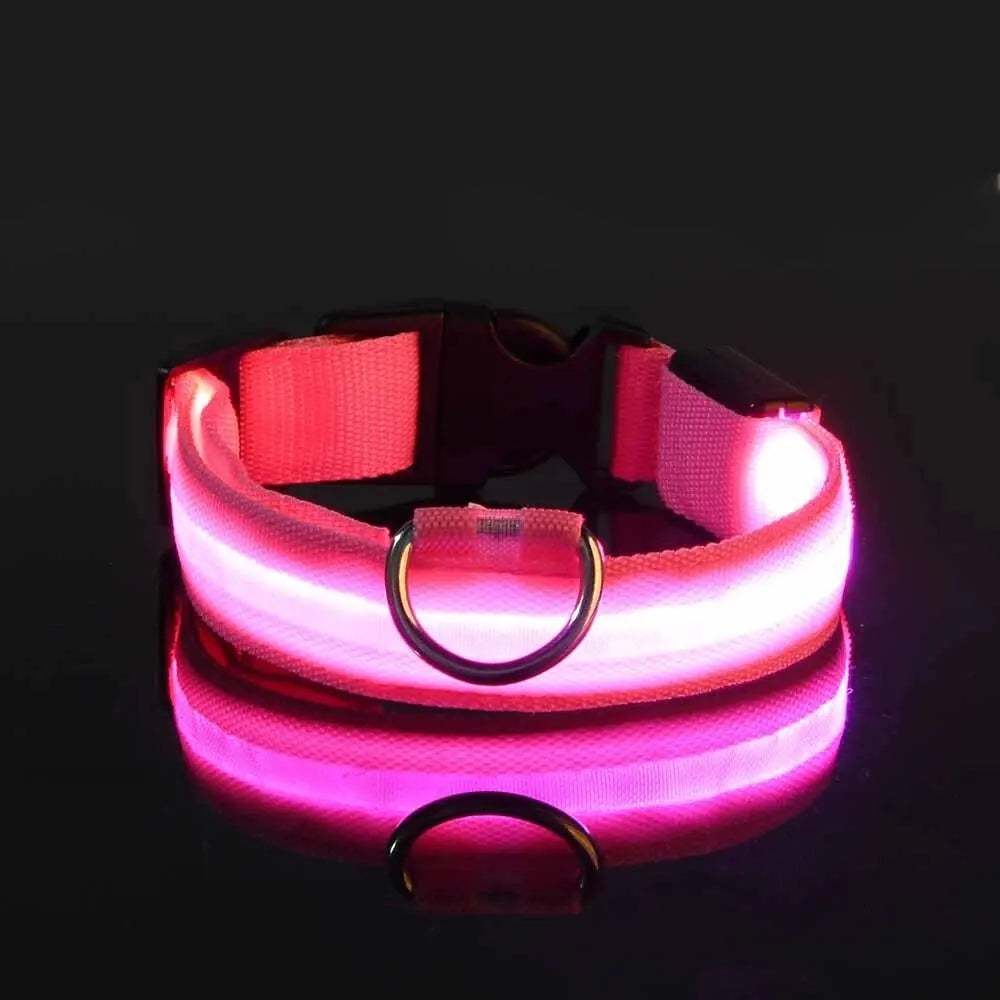 Correa de nailon para perros con luces LED