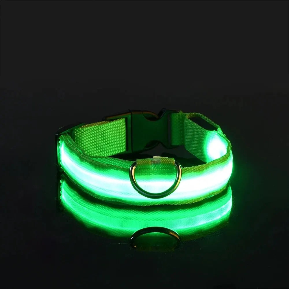Correa de nailon para perros con luces LED