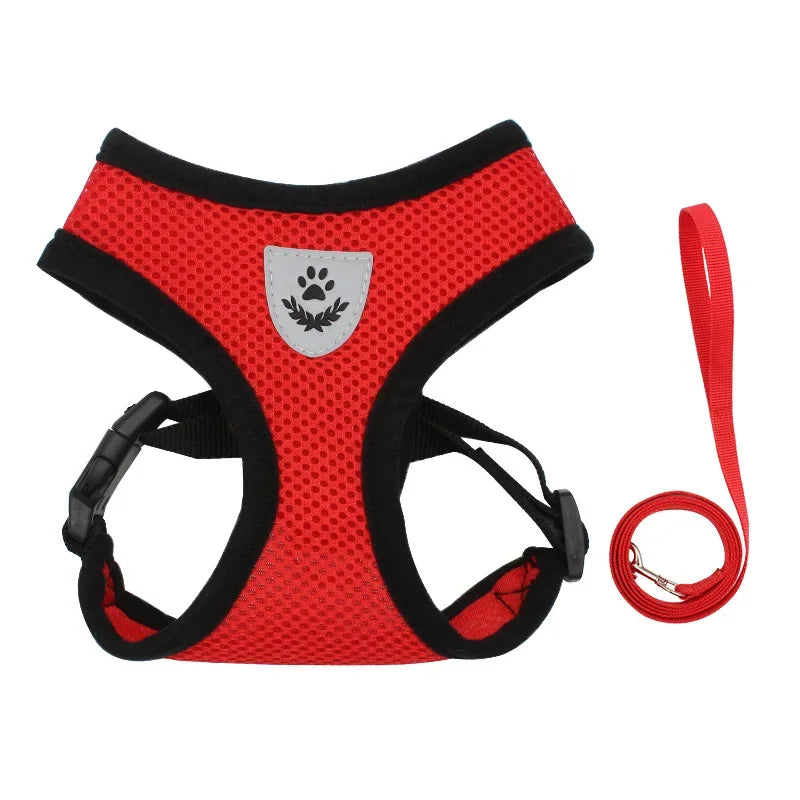 Arnés de verano para perros y gatos