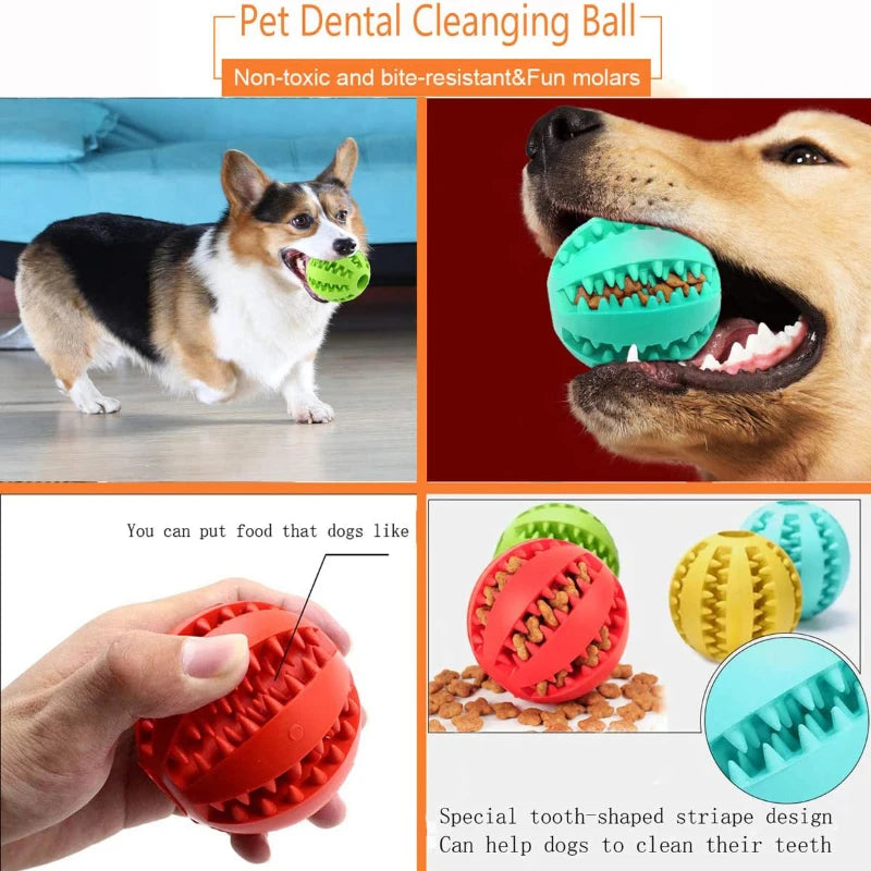 Pelota de juguete para perros