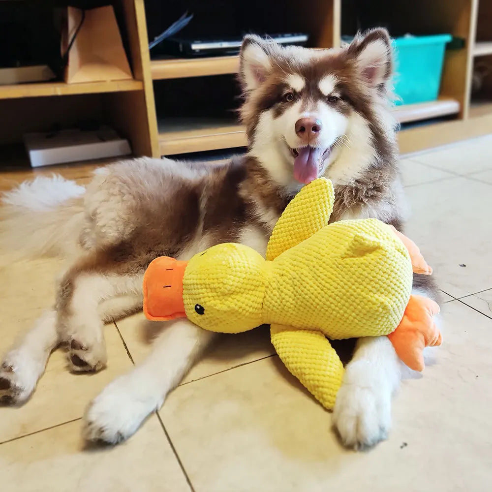 Juguete para perros