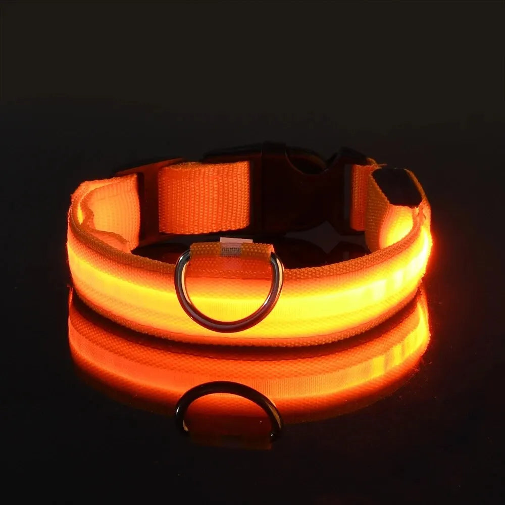Correa de nailon para perros con luces LED