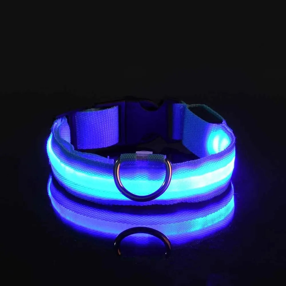 Correa de nailon para perros con luces LED