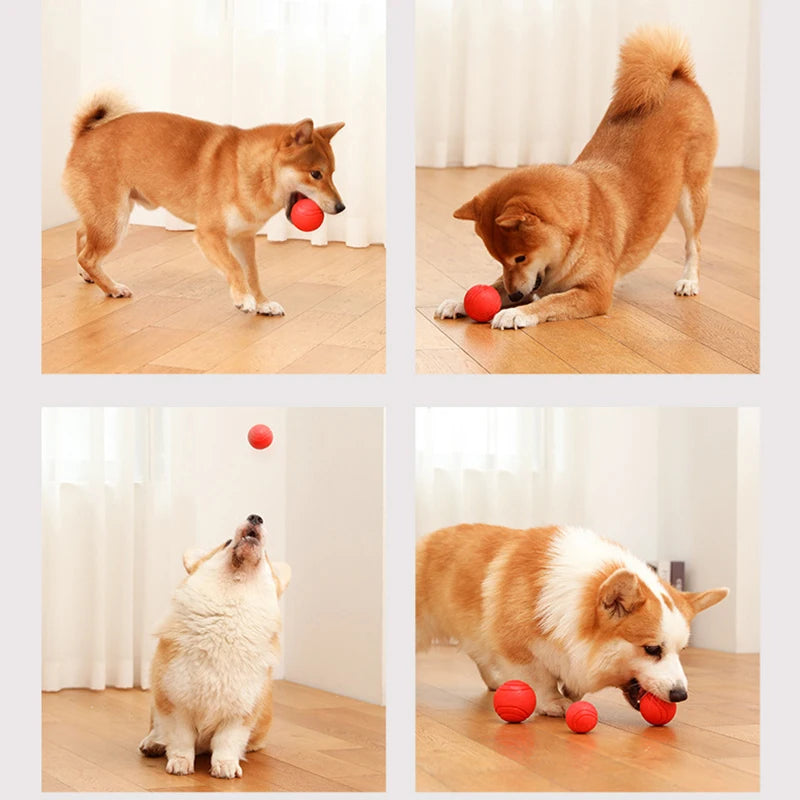 Pelota de goma indestructible a prueba de mordidas