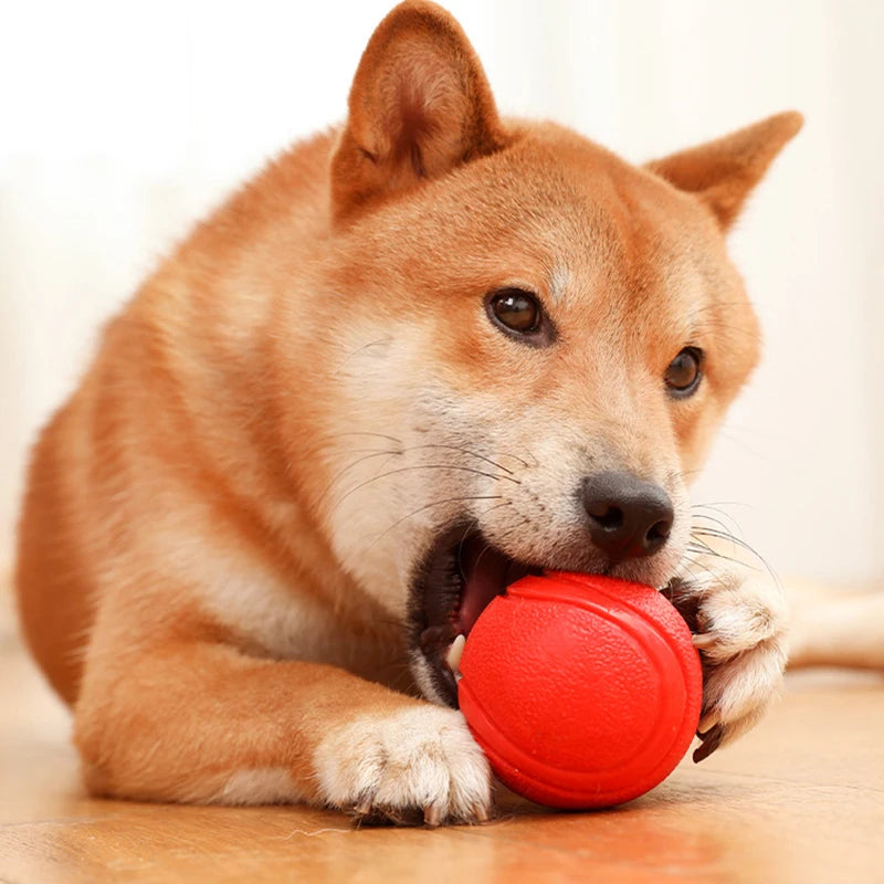 Pelota de goma indestructible a prueba de mordidas