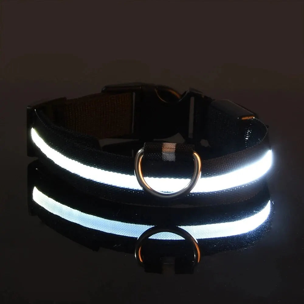 Correa de nailon para perros con luces LED