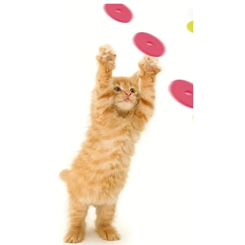 Divertidos juguetes para gatos