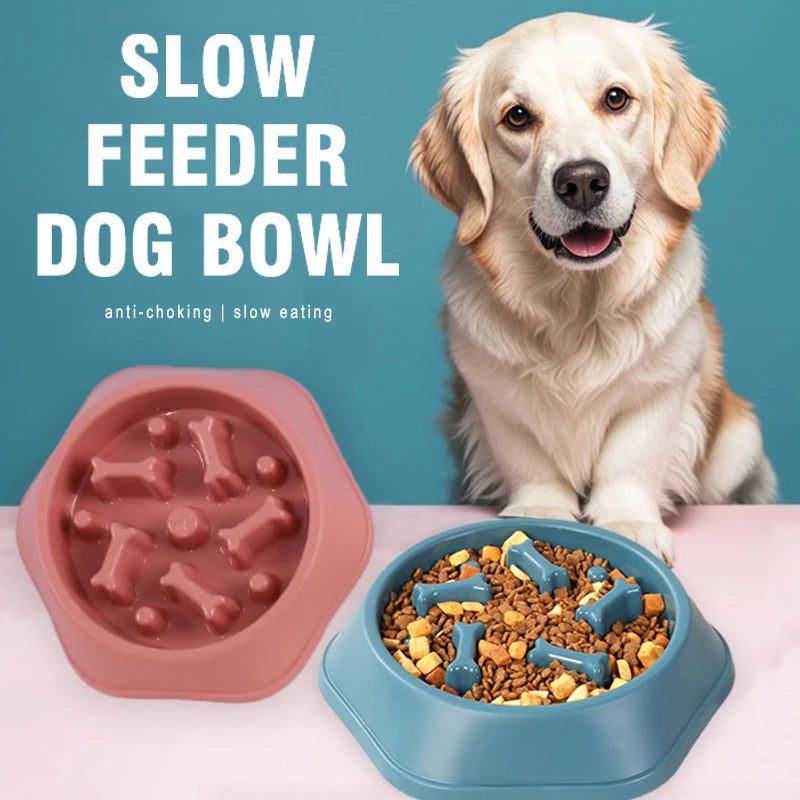 Comedero lento para perros