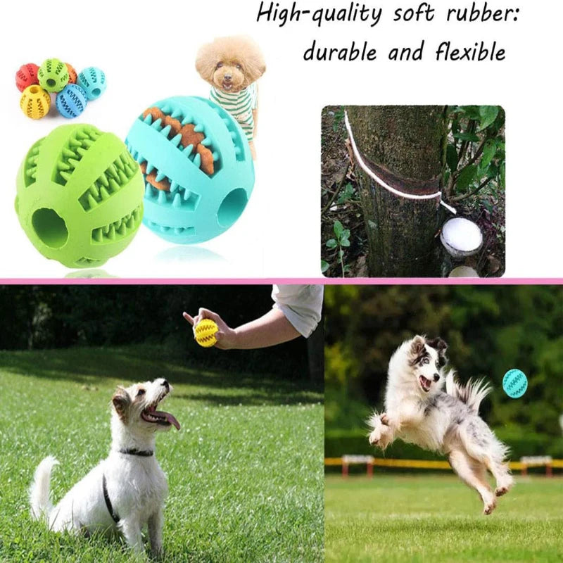 Pelota de juguete para perros