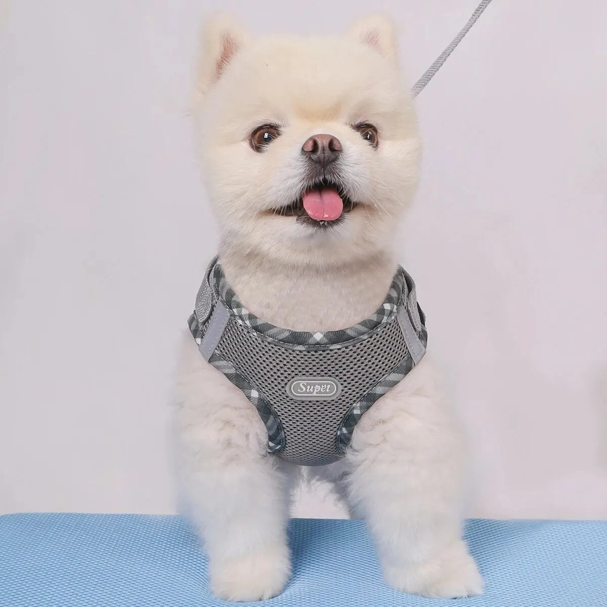 Arnés para perros Supet