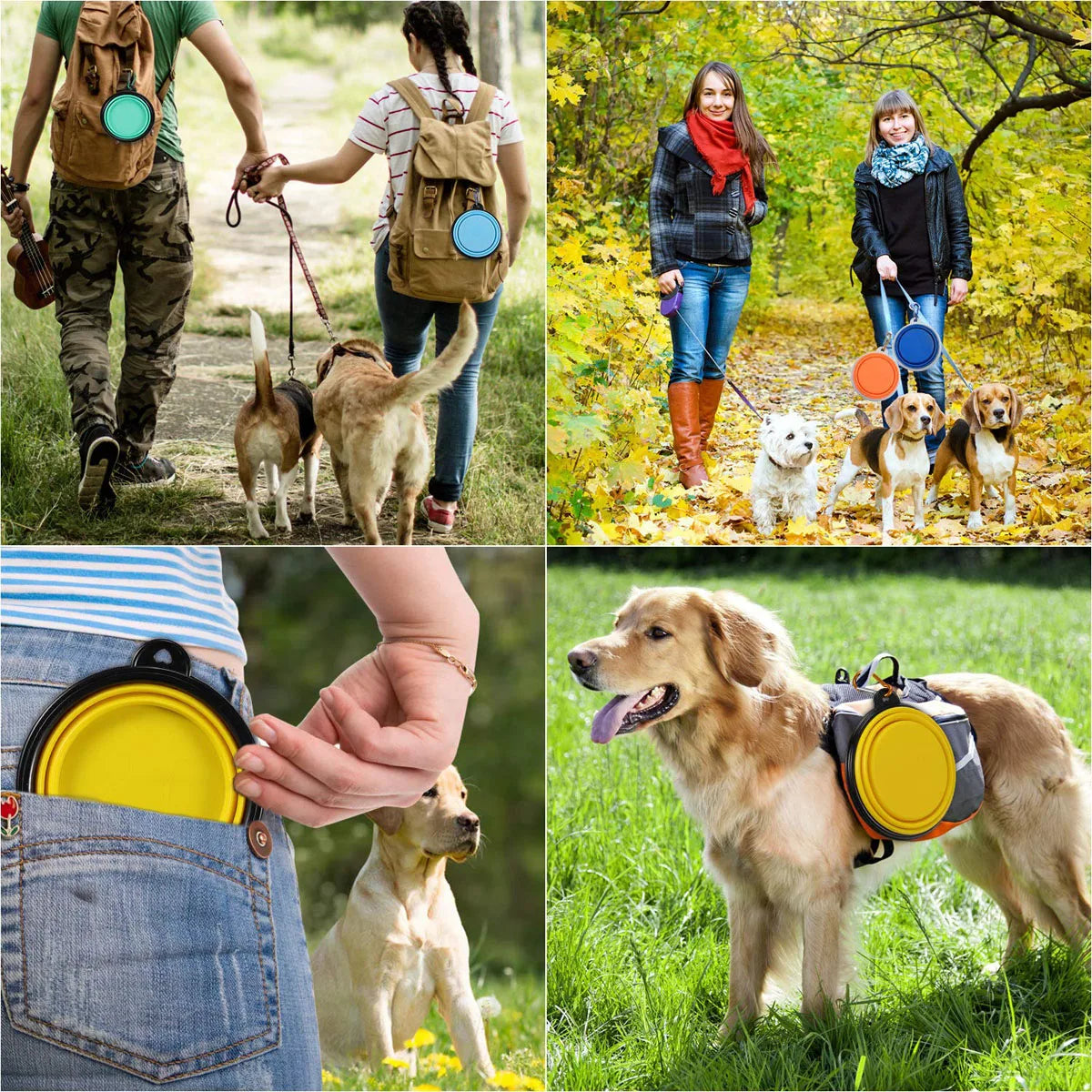 Comedero plegable de silicona para perros