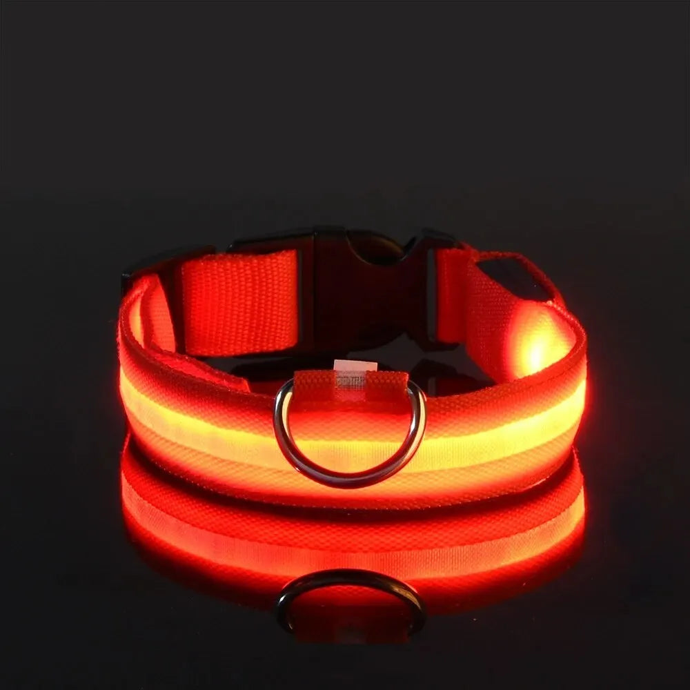 Correa de nailon para perros con luces LED