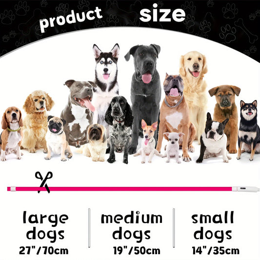 Collar luminoso con luz LED para perros