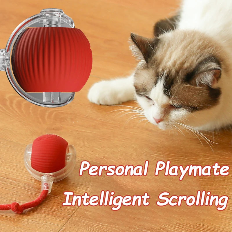 Nueva pelota interactiva para gatos