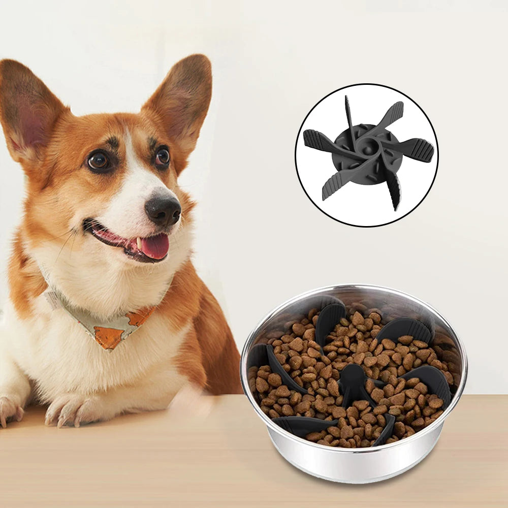 Comedero lento para gatos y perros