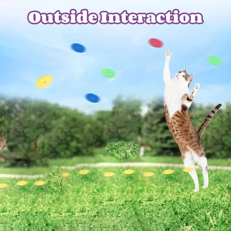 Divertidos juguetes para gatos