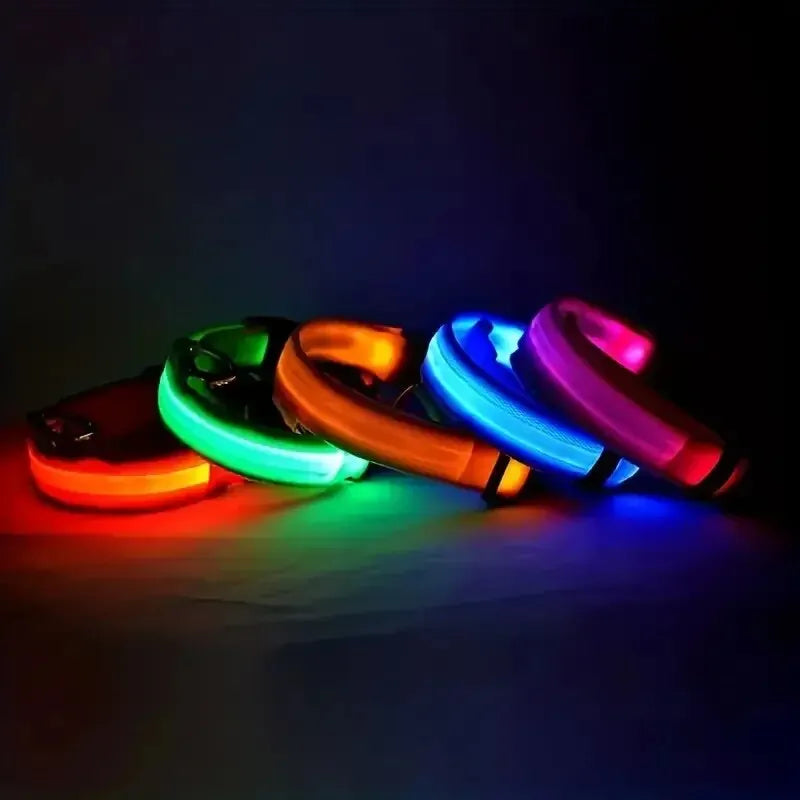 Correa de nailon para perros con luces LED