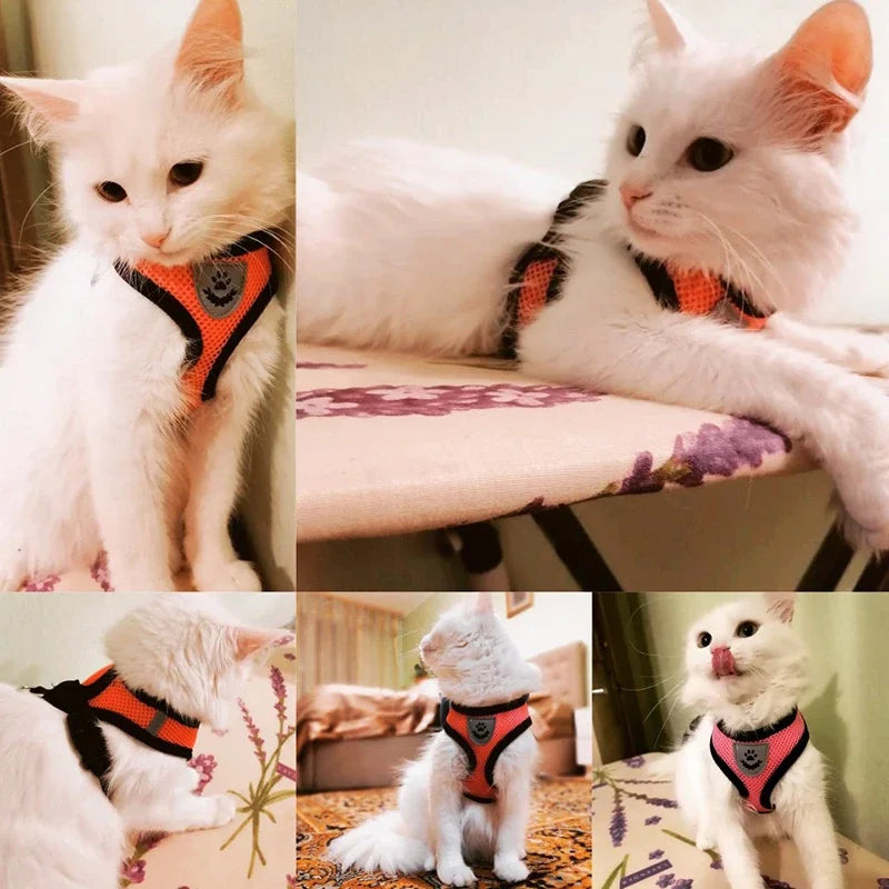 Arnés de verano para perros y gatos