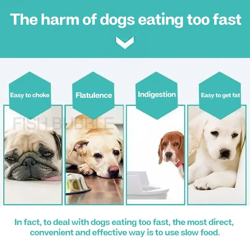 Comedero lento para perros y gatos
