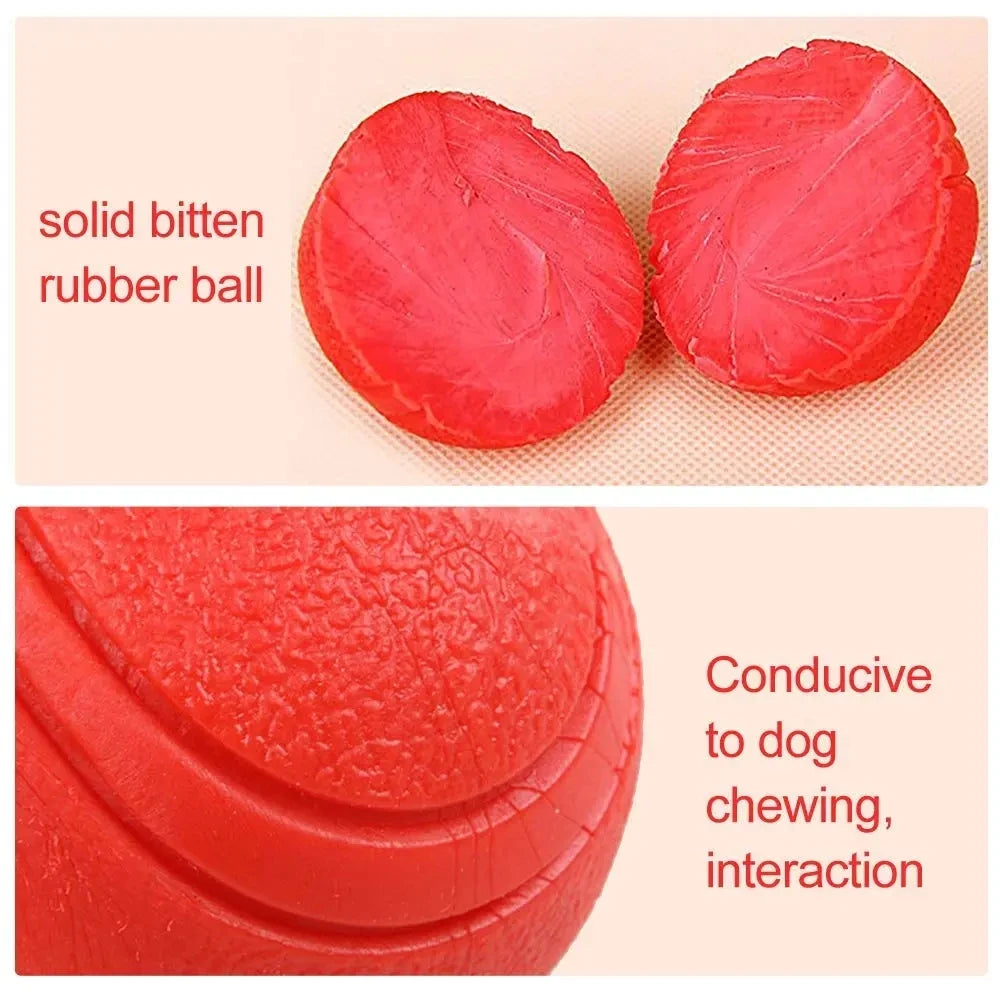 Pelota de goma indestructible a prueba de mordidas