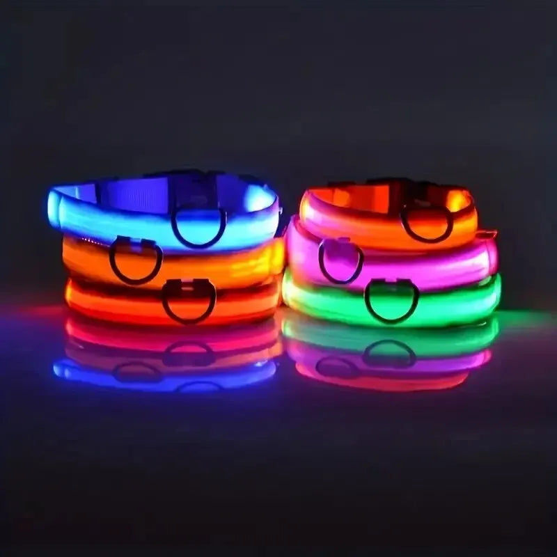 Correa de nailon para perros con luces LED
