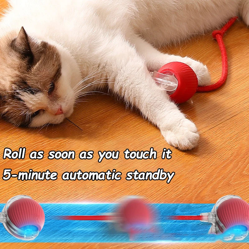 Nueva pelota interactiva para gatos