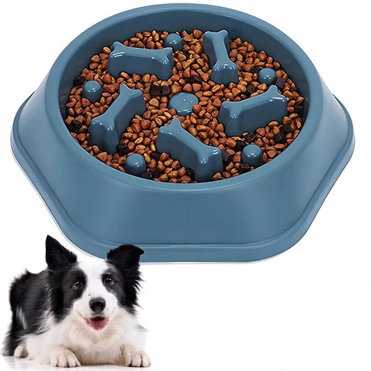 Comedero lento para perros