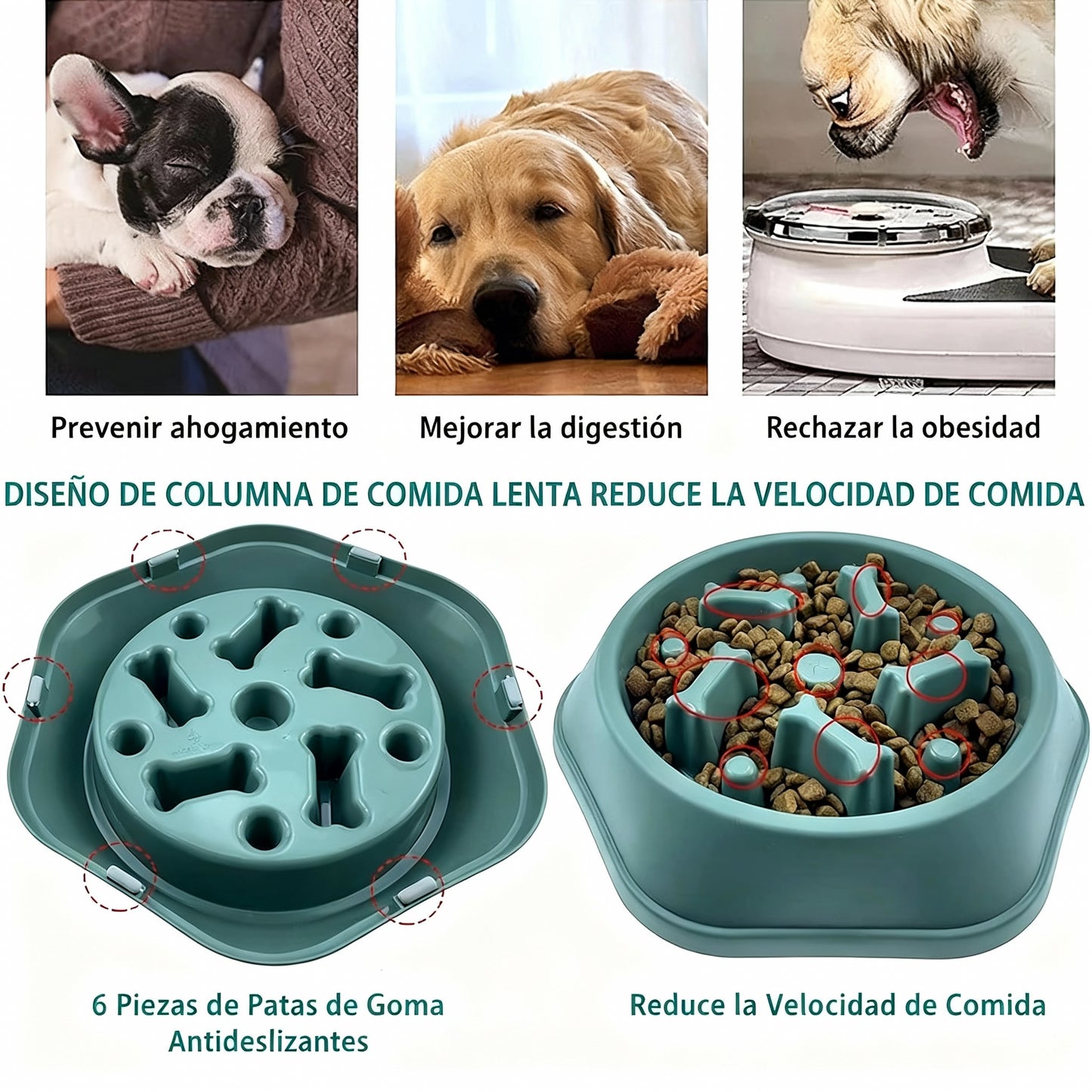 Comedero lento para perros