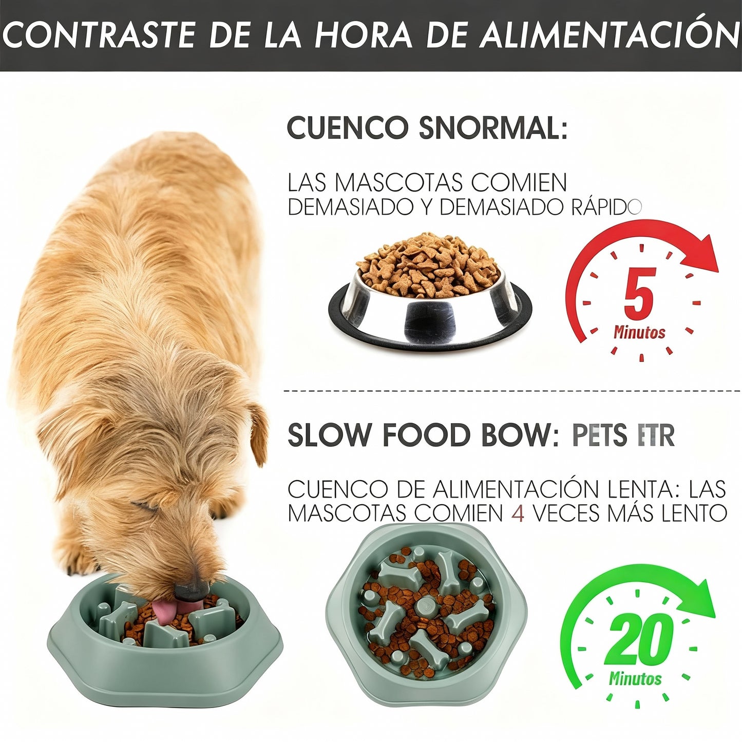 Comedero lento para perros