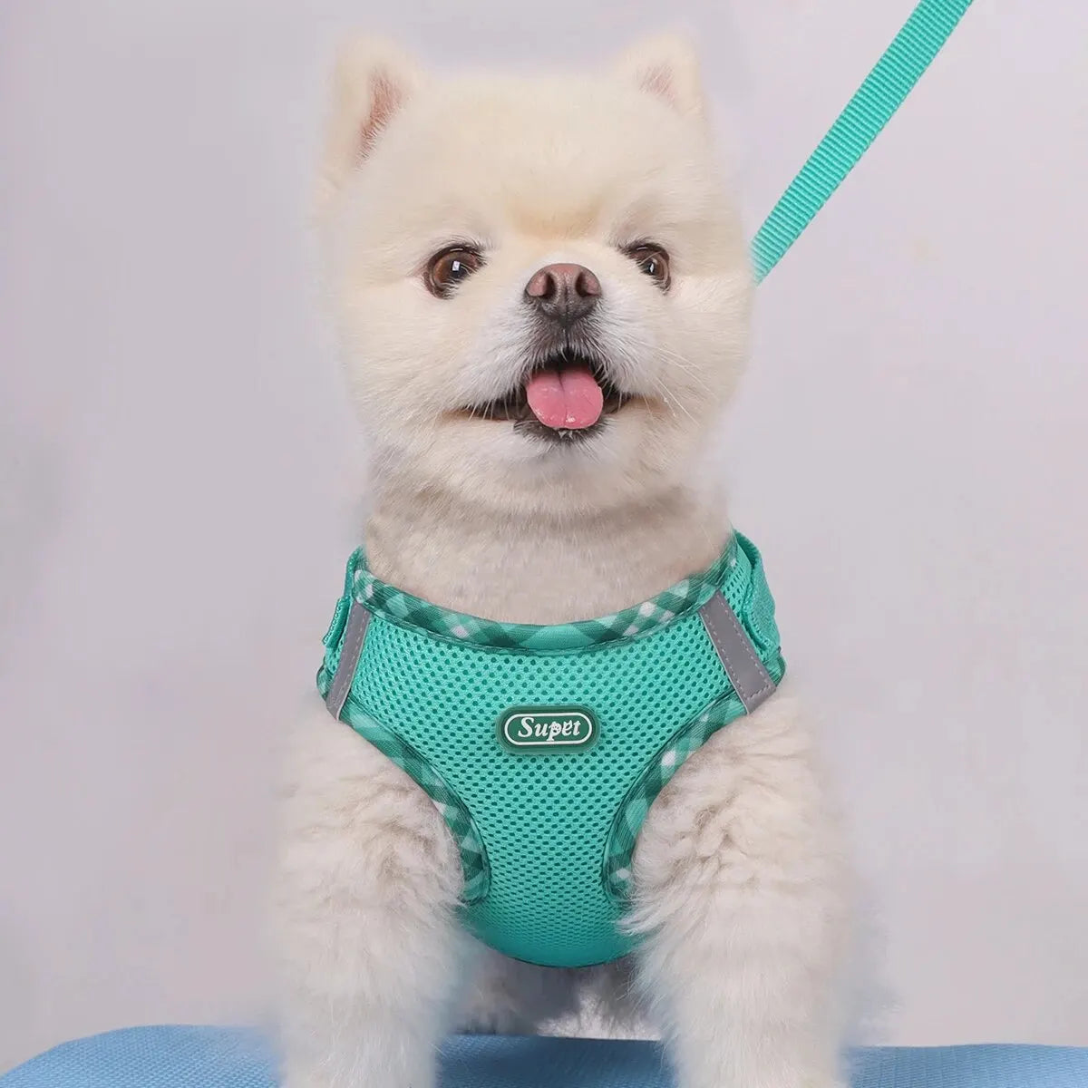Arnés para perros Supet