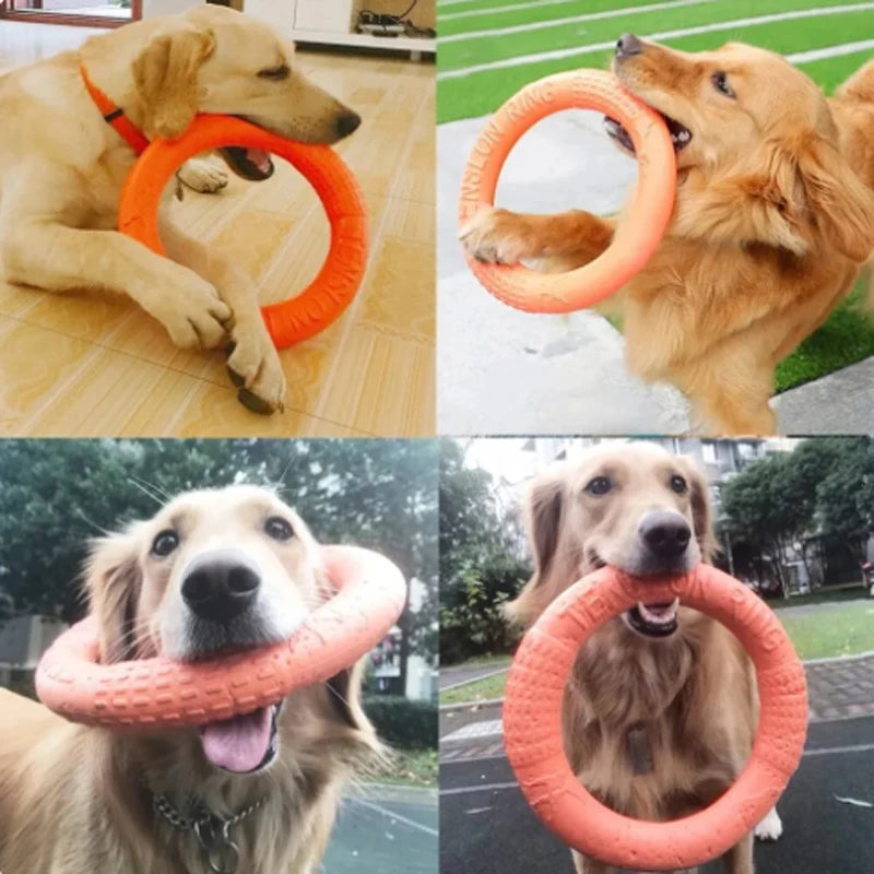 Juguete naranja para perros