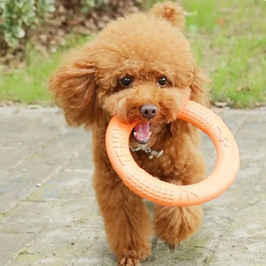Juguete naranja para perros