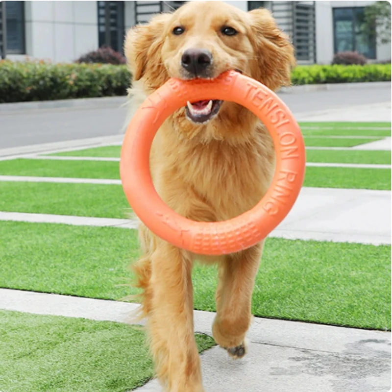 Juguete naranja para perros