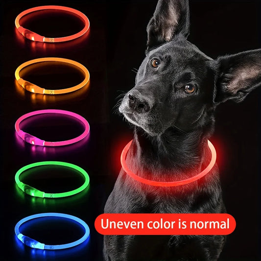 Collar luminoso con luz LED para perros