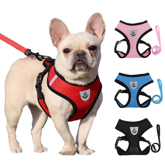 Arnés de verano para perros y gatos
