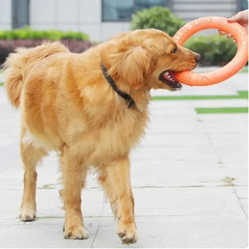 Juguete naranja para perros