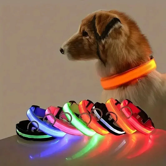 Correa de nailon para perros con luces LED