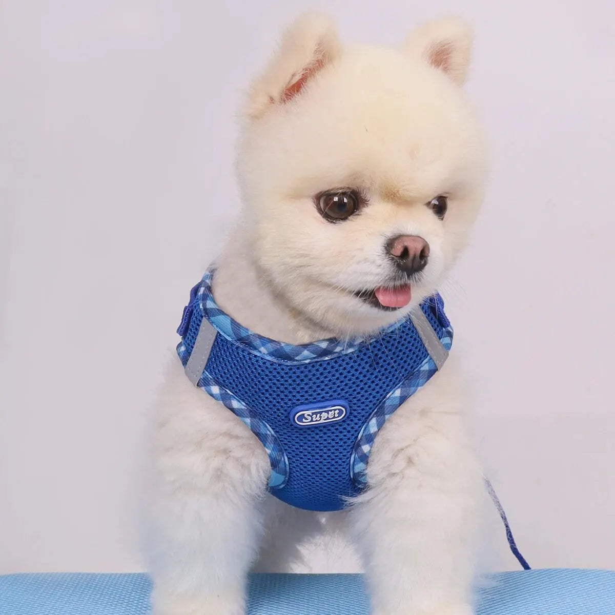 Arnés para perros Supet