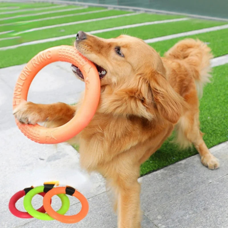 Juguete naranja para perros