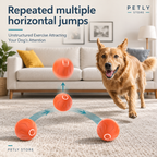 Petly branded image 11