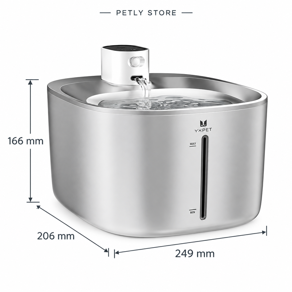 Petly Store dimensions